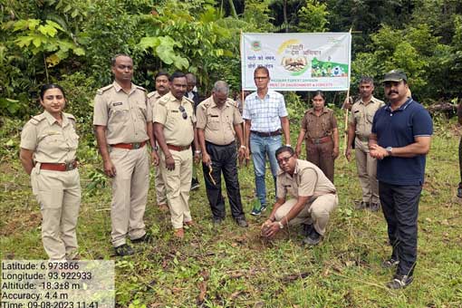 Tree Plantation