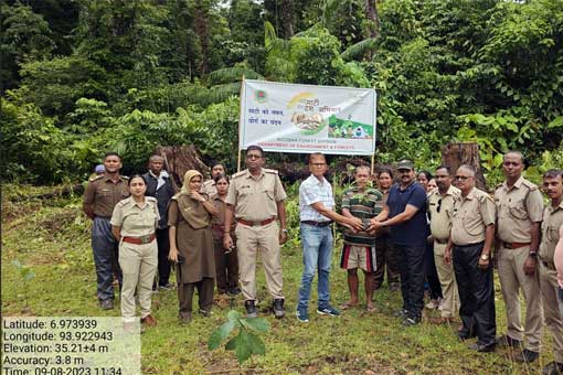 Tree Plantation