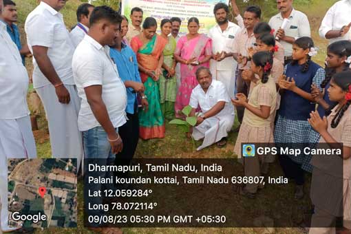 Tree Plantation