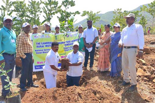 Tree Plantation