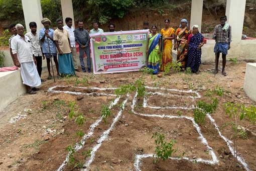 Tree Plantation