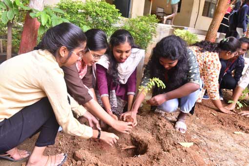 Tree Plantation