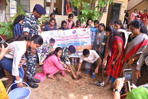 Tree Plantation