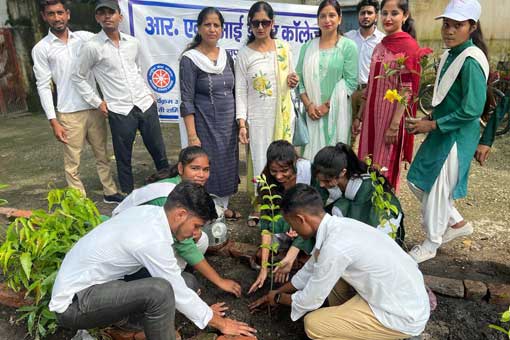 Tree Plantation