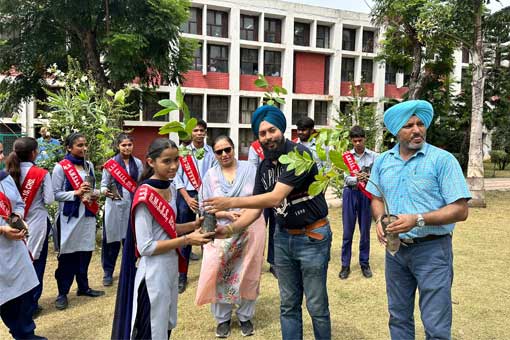 Tree Plantation