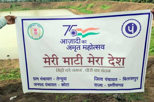 Tree Plantation