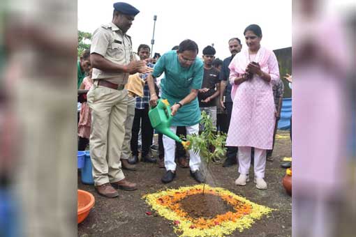 Tree Plantation