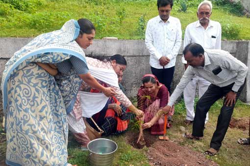 Tree Plantation