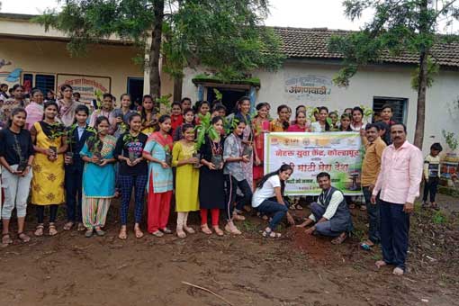 Tree Plantation