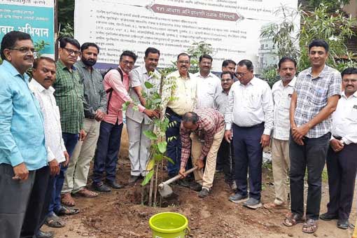 Tree Plantation